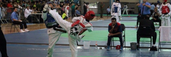 Vaquinha Online - Atletas - Atleta de Taekwondo Kallyl Bertolino